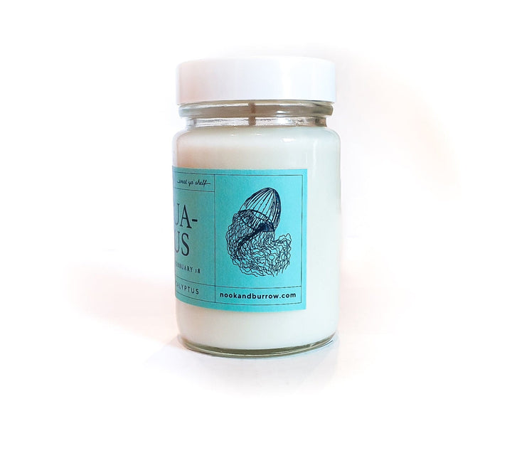 Nook & Burrow candle Aquarius | Astrology Range | candle