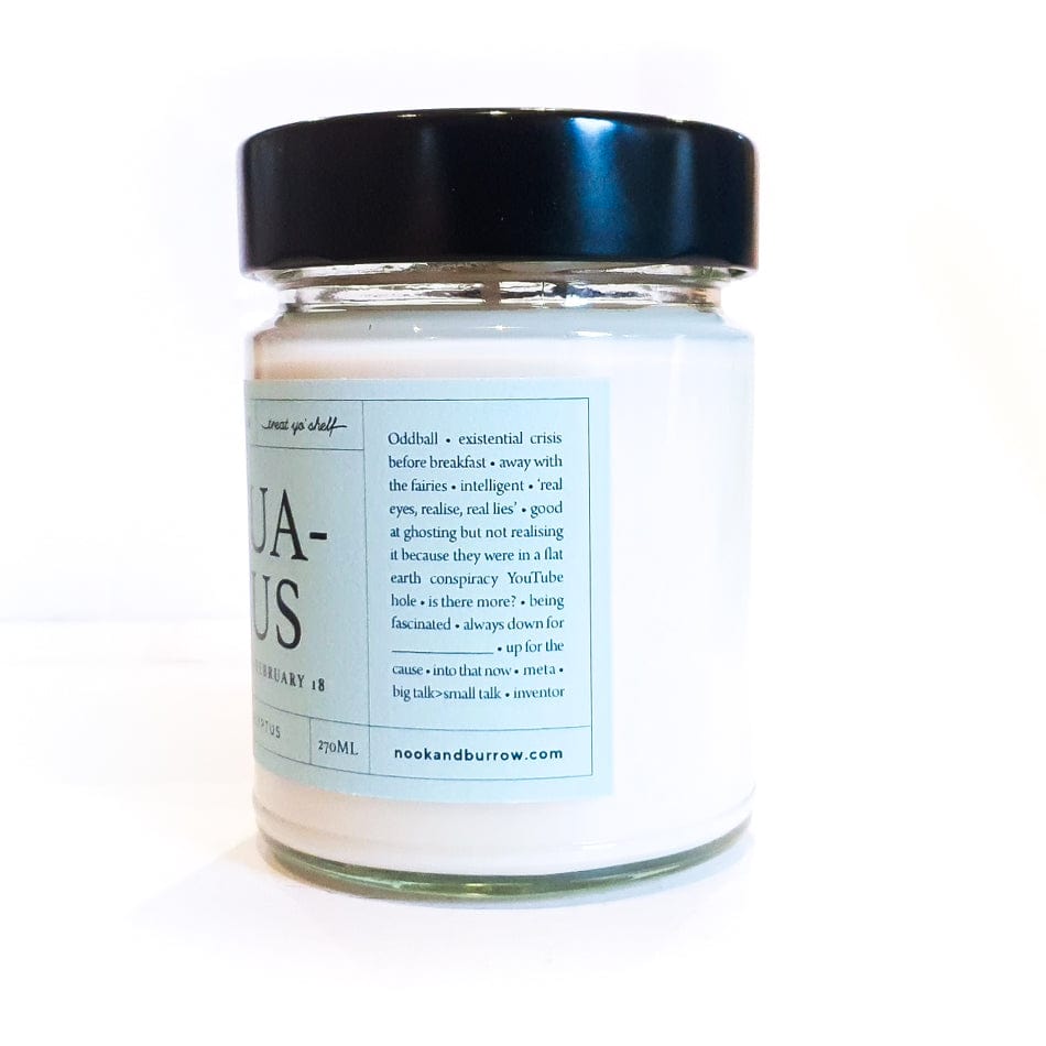 Nook & Burrow candle Aquarius | Astrology Range | candle