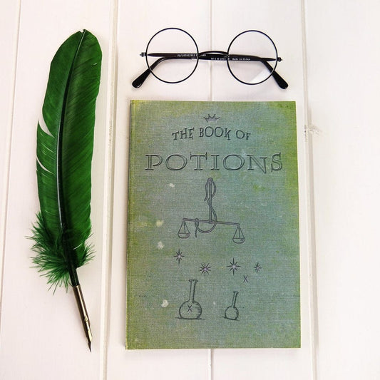 Book of Potions | notebook - Nook & Burrow